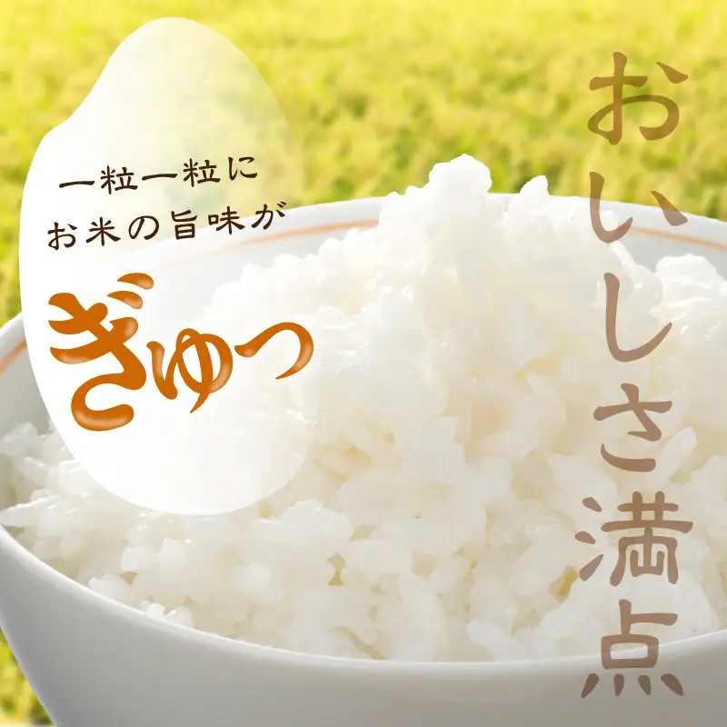 【令和7年】特別栽培米コシヒカリ 1.5kg コシヒカリ 京丹後市