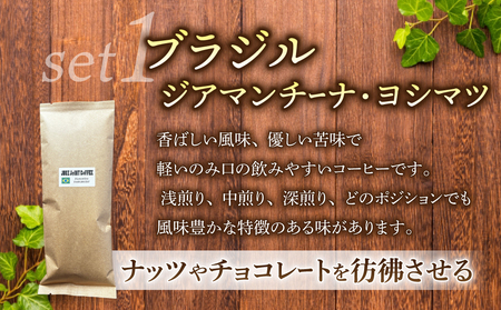 【粉に挽く】産地違いコーヒー豆　2種類飲み比べ各200g｜テルミナリアコーヒー