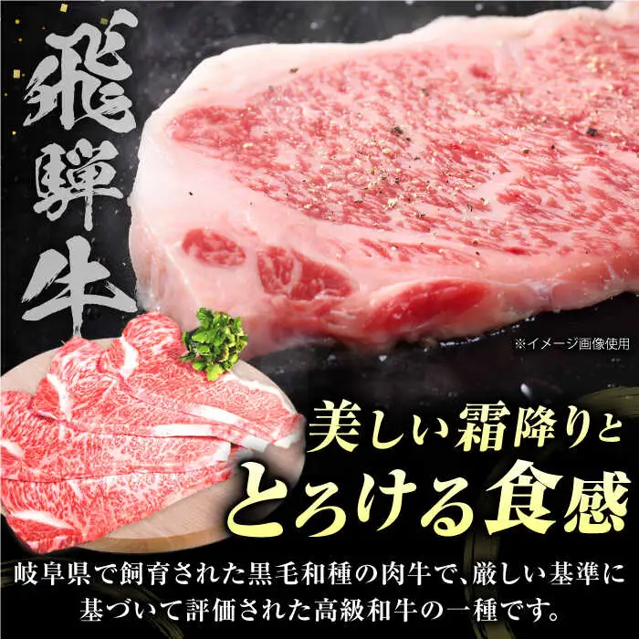 【3回定期便】 特選飛騨牛5等級ステーキ(サーロイン800g) [AVAG008] 飛騨牛
