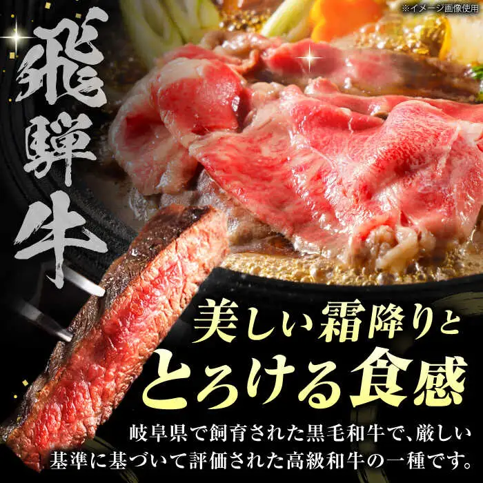 【3回定期】特選飛騨牛ステーキ&すきやき用 1kgセット[AVAG011] 飛騨牛 定期便