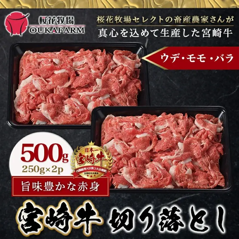 宮崎牛切り落とし500g〔12-6503〕_(都城市) 宮崎牛 切り落とし スライス すき焼き しゃぶしゃぶ 牛丼など 500g 250g×2P