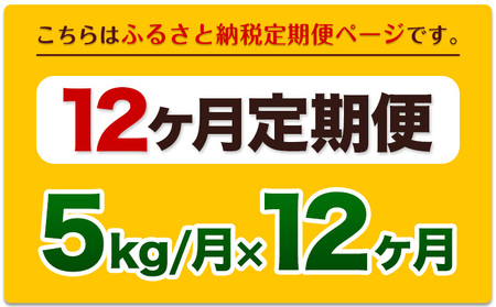 無洗米 12か月定期便 ひのひかり 5kg 無洗