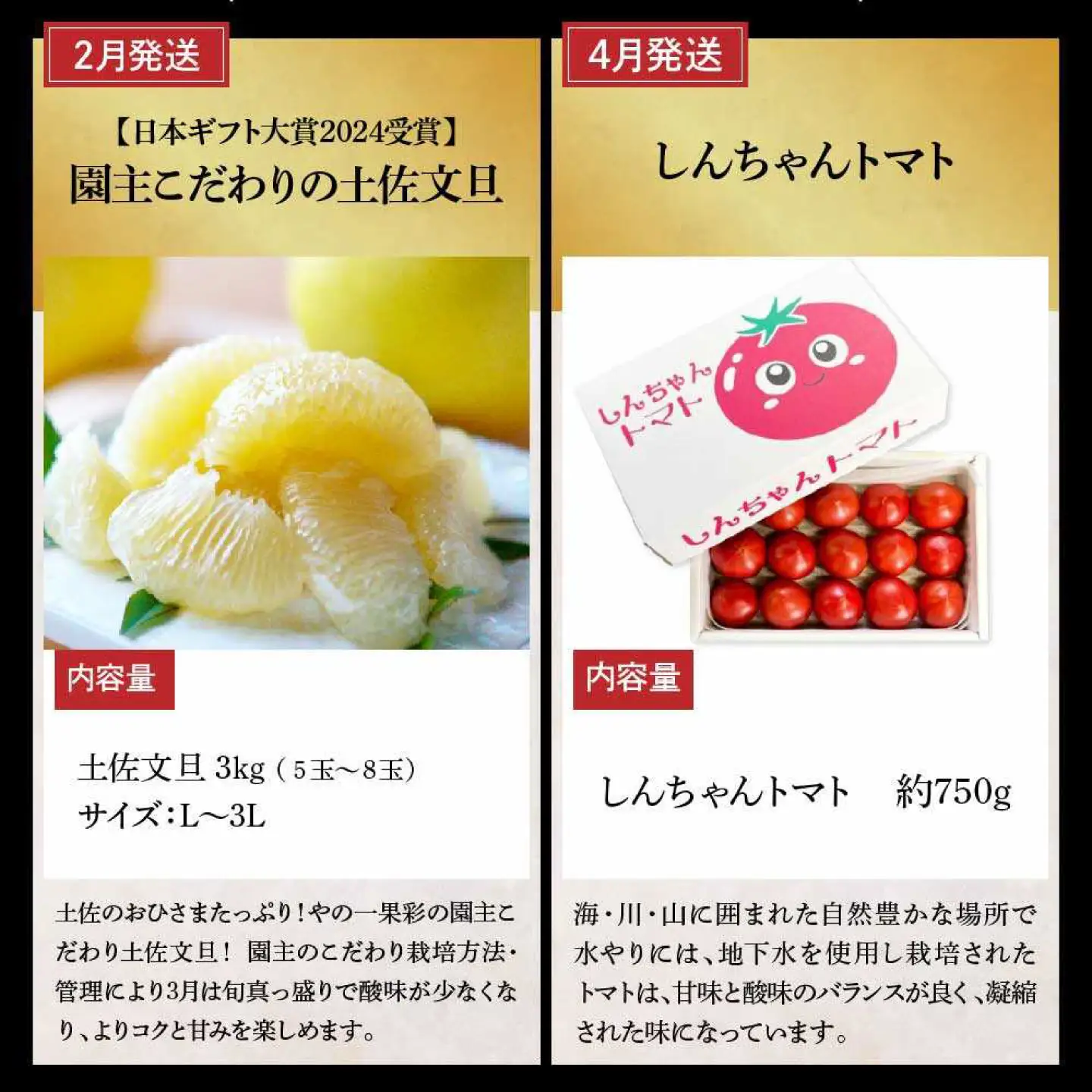 【全6回定期便】土佐市まるごとセット（偶数月配送） 高知県土佐市 【土佐市役所】 [BQCD017]