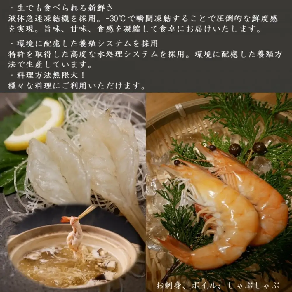 甲賀水晶えび 200g × 2パック