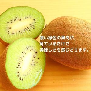 ＜先行受付　2026年発送＞香緑　キウイフルーツ 約3.0kg