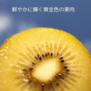 ＜先行受付　2026年発送＞さぬきゴールド　キウイフルーツ　約1.2kg（化粧箱）