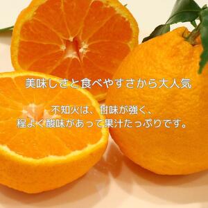 ハウス不知火　約2.7kg