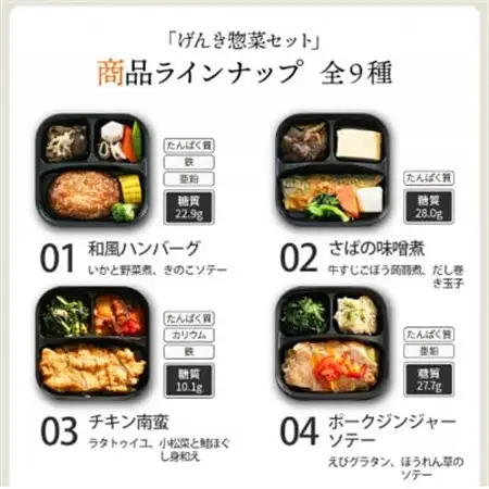 【冷凍惣菜】げんき惣菜9種セット/手作り・管理栄養士監修【配送不可地域：離島】【1545823】