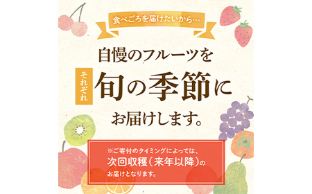 【先行予約】《2026年10月中旬～11月中旬頃お届け》 キウイ さぬきゴールド 鮮やか黄金に輝く ゴールドキウイ 約2.7kg 香川県産 大粒キウイ キウイフルーツ ゴールデンキウイ フルーツ 果物 くだもの 旬のフルーツ 旬の果物 香川 香川県共通返礼品 F5J-543