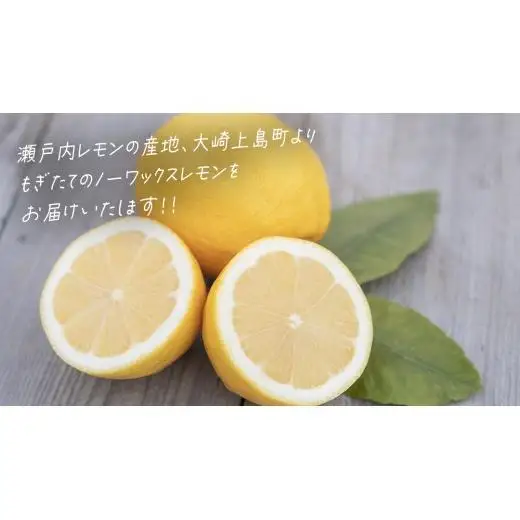 【先行予約】 もぎたてフレッシュ！ せとうちレモン 約5kg (約 40～50個程度 ) 2027年1月～2月発送 ワックス防腐剤不使用 皮まで丸ごと食べられる