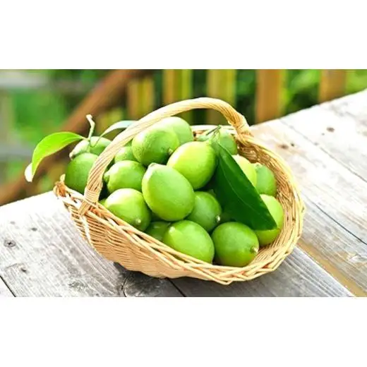 瀬戸内の ハウスグリーン レモン 約3kg【2026年8月以降発送】
