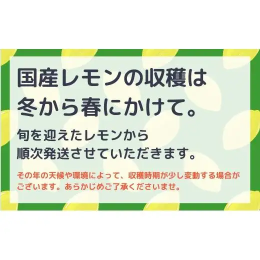 瀬戸内レモン  約3kg  【 2027/1月  ～ 2月発送 先行予約 】 ワックス 防腐剤不使用