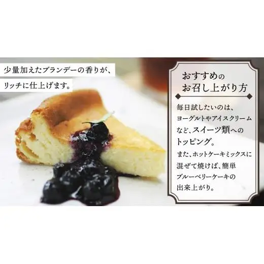 大崎上島産 ブルーベリー100%デザートソース 500mL×2本