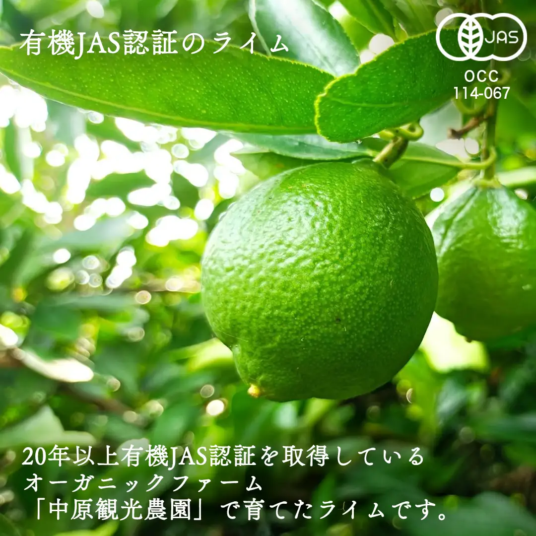 オーガニック ライム 1kg【2026年9月以降発送】