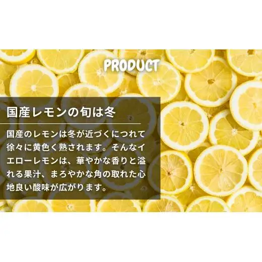 芳醇! 文田農園のレモン 約3kg 【2027年 2～3月発送】
