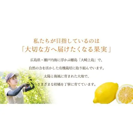 島の宝石箱！瀬戸内 旬の柑橘カラフルギフトセット ( レモン 約2kg /みかん 約1kg ) 【2026年 11月 ～ 12月 発送】 先行予約