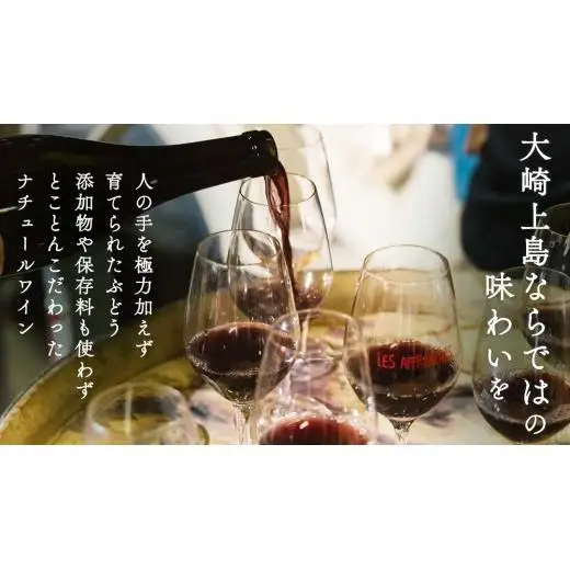瀬戸内 の ナチュールワイン 750mL 【Vignoble de NAKA rouge MBA】