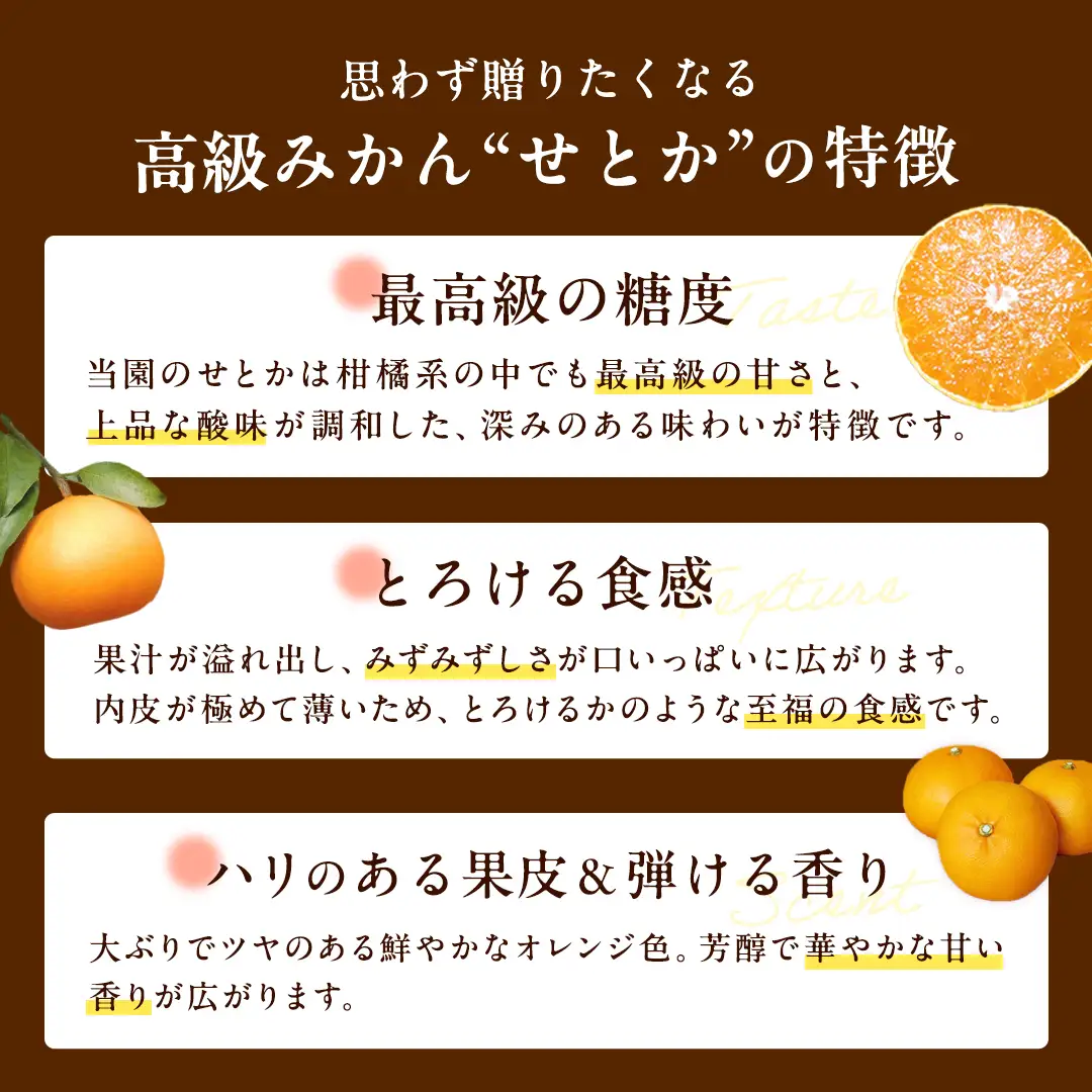【先行予約】 せとか 5kg 瀬戸内 みかん 柑橘の大トロ 高級 20個程度 蜜柑 setoka 濃厚 甘い ジューシー 贈答用 ギフト 国産 瀬戸内 広島 フルーツ 果物 くだもの 産地直送 ハウス栽培 【2027年2月中旬～3月発送】