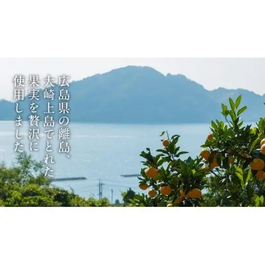 岩﨑農園 無添加 手作り ジャム 200g 1本