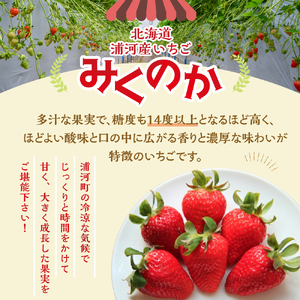 【先行受付開始！】北海道浦河産いちご「みくのか」230g×3P[13-1430]
