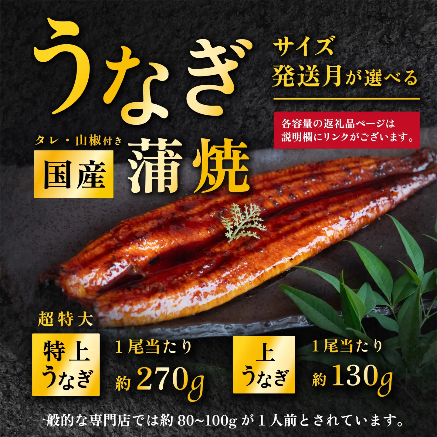 うなぎ 国産 蒲焼き 1尾 270g 特上ウナギ 9月発送