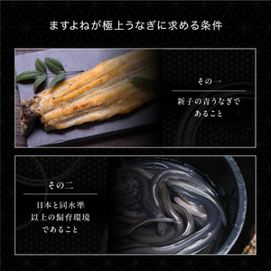 きざみうなぎ蒲焼き 10食  [001-a051]