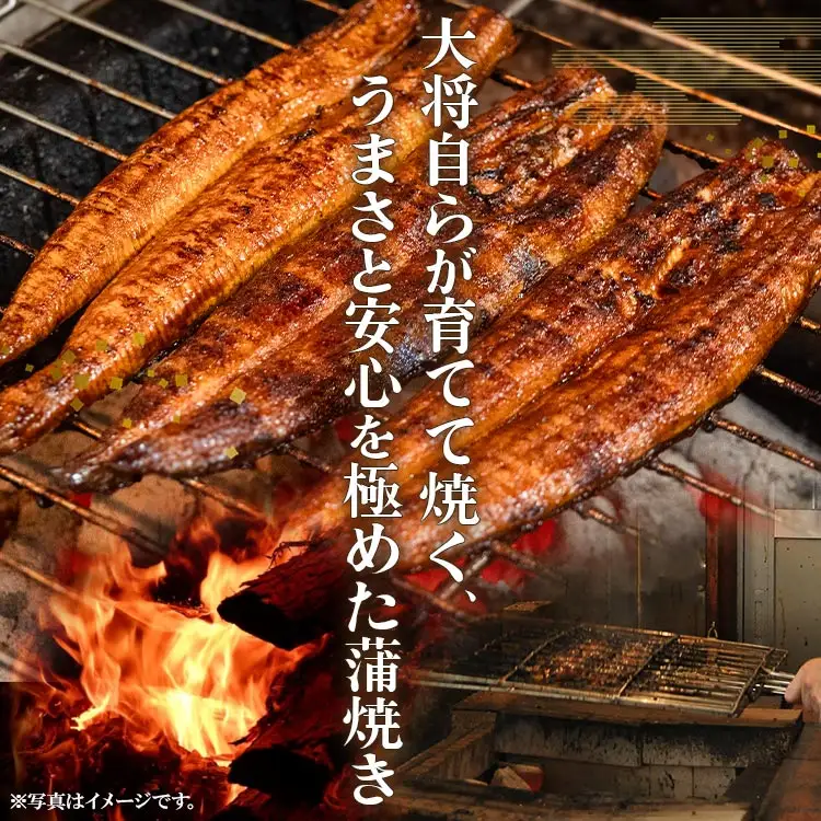 【定期便】うなぎ蒲焼き | うなぎ 定期便 国産 うなぎ 定期便 うなぎ 定期便 Wun-0065