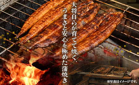 【3回定期便】うなぎ蒲焼き120g 3尾(無頭) 魚介 国産 海鮮 魚 かばやき 鰻 ウナギ 惣菜 おかず お手軽 加工品 加工食品 冷凍  Wun-0075