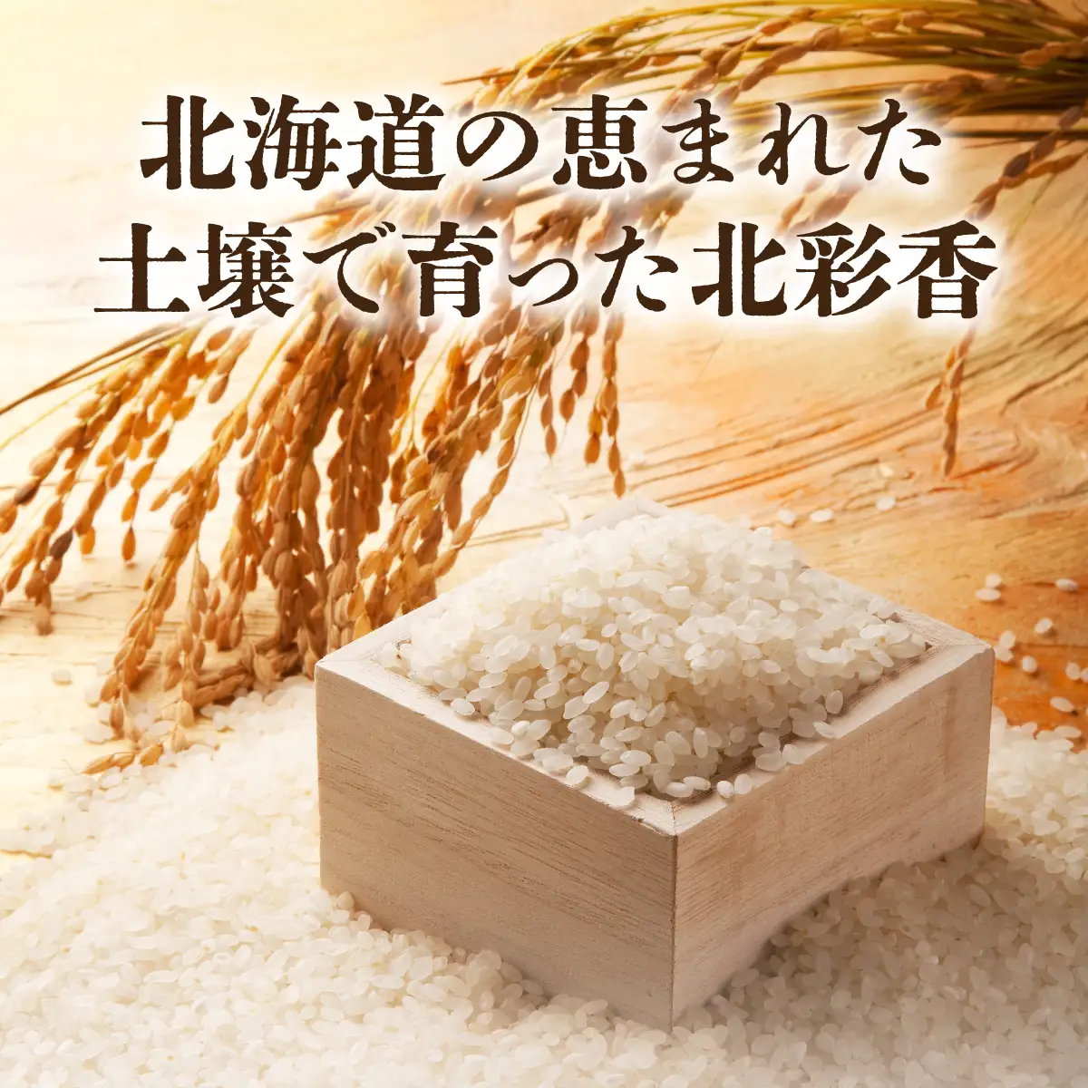 令和8年産 ゆめぴりか 白米 20kg 【北彩香】