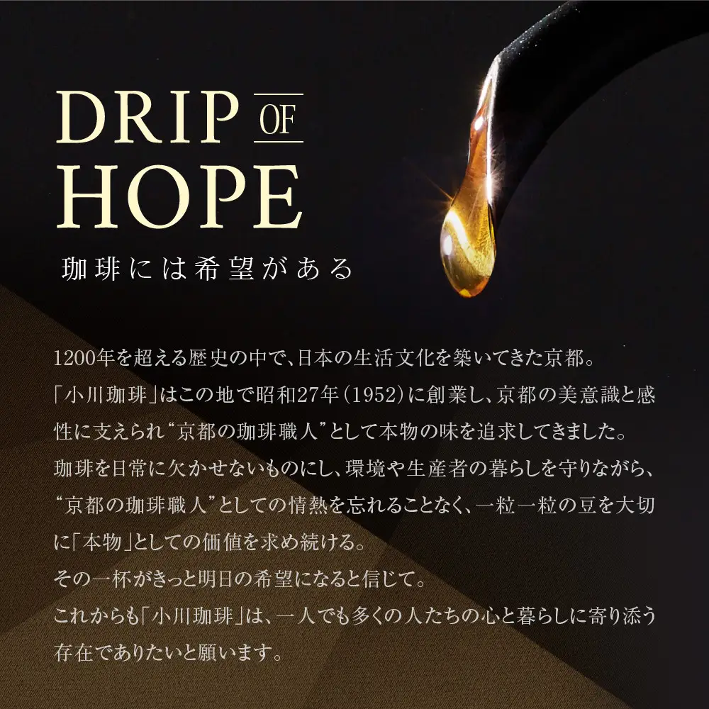 【小川珈琲】炭焼 アイスコーヒー 無糖 1000ml 12本 アイスコーヒー