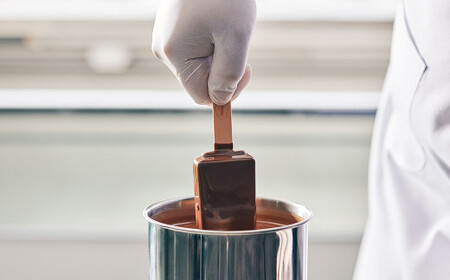 ハーゲンダッツバー バニラチョコレートマカデミア 20本セット ハーゲンダッツ バニラ チョコレート バニラチョコレート マカデミア セット アイス アイスクリーム ギフト 愛媛県 【えひめの町（超）推し！（松前町）】（716）