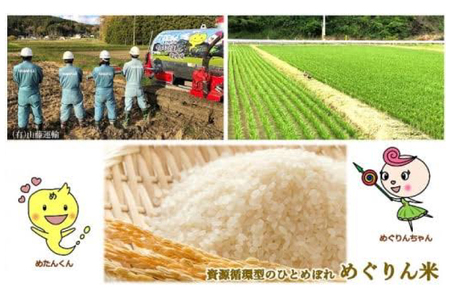 米 めぐりん米 ( 白米 食べ比べ ) ひとめぼれ ササニシキ 各5kg 計10kg
