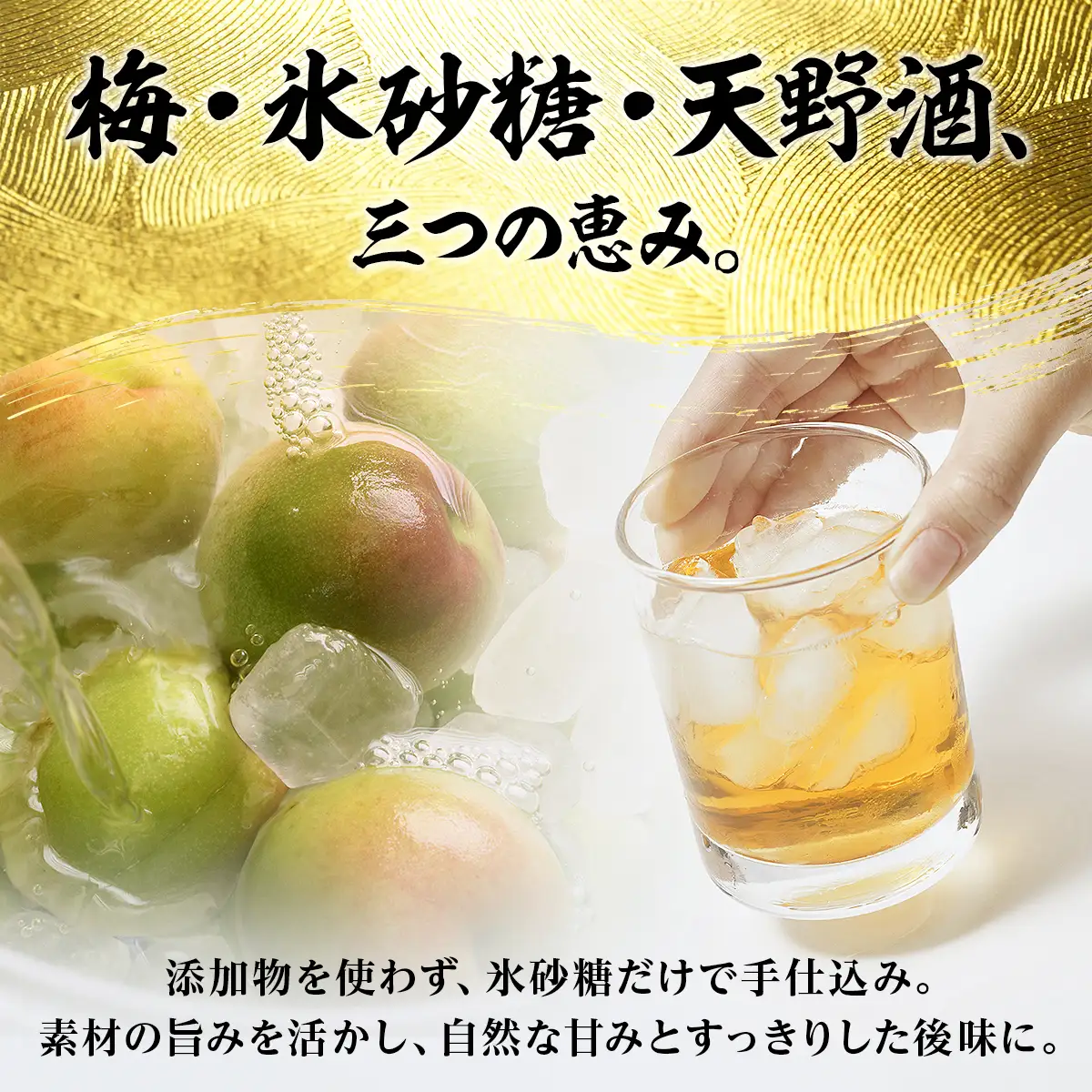 日本酒で仕込む贅沢な濃厚梅酒 天野酒 梅酒 500ml