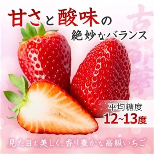 先行予約　奈良県産いちご　古都華　化粧箱入り4パック_果物・フルーツ いちご  イチゴ 苺_【配送不可地域：離島・北海道・沖縄県】【1253923】
