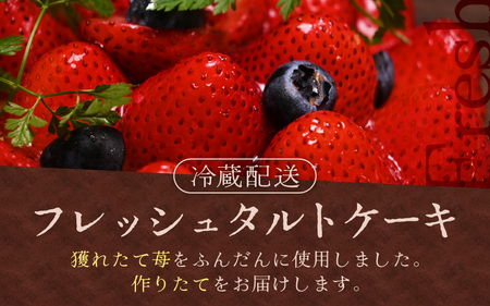 先行予約 フレッシュ苺タルトケーキ 5号：直径15cm (4～5人前) 850g 2027年1月発送 スイーツ ケーキ [A-5217_01]