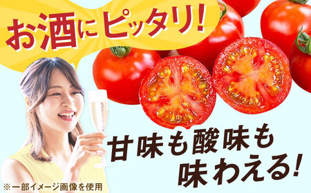 【2027年1月中旬発送】ドトマト2号 1箱 / 佐賀県 / 永尾産ち [41AAAC003]