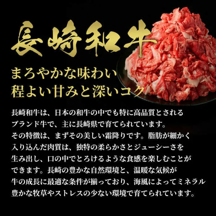 【お中元】長崎和牛 切り落としスライス 600g [JGV020]