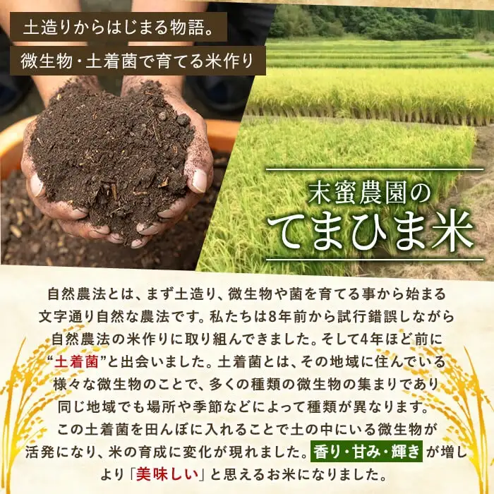 K-391-G 【12回定期便】令和7年産 てまひま米・玄米(品種:にこまる)(計60kg：5kg×12回)【末蜜農園】霧島市 お米 玄米 米 こめ コメ ご飯 ごはん 定期便 栽培期間中農薬不使用 