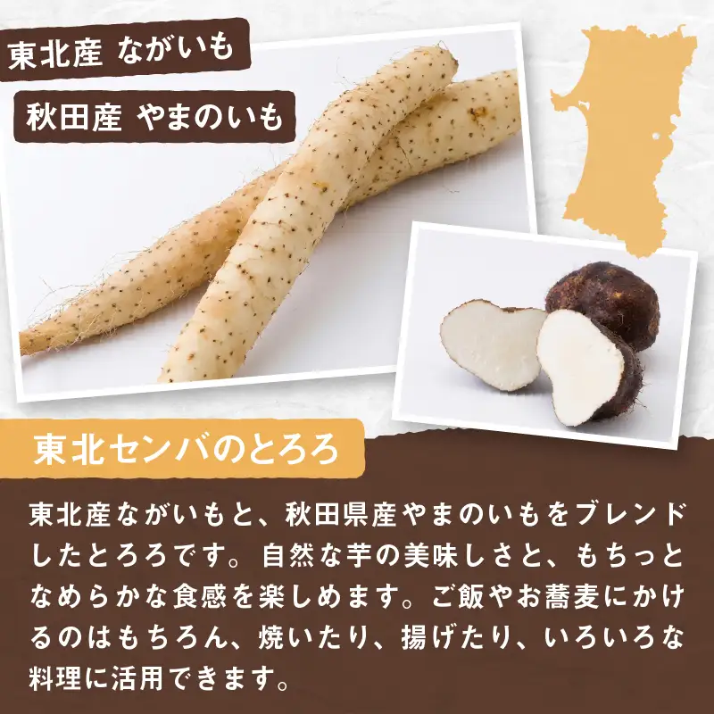 冷凍とろろ1キロセット（50g×20袋）　40P3217【 東北センバ】