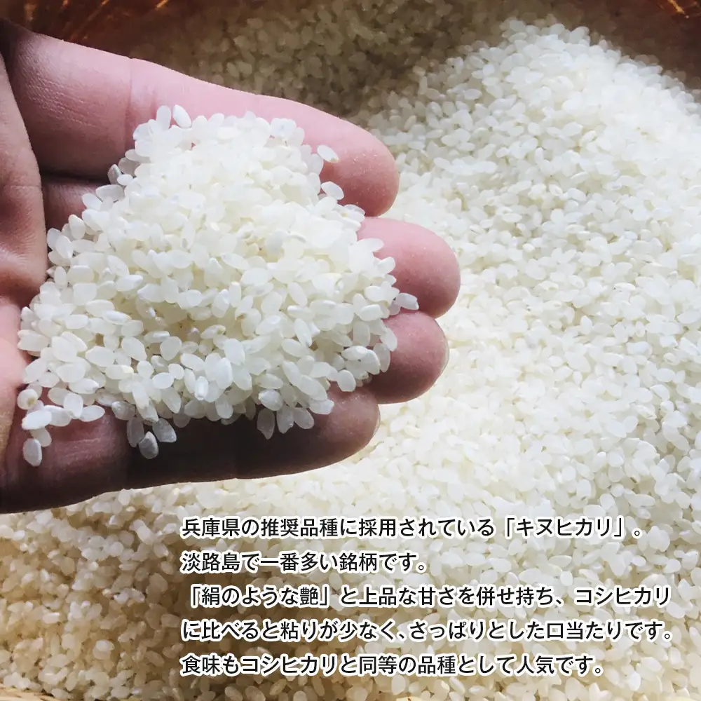 淡路島産キヌヒカリ 5kg （白米）
