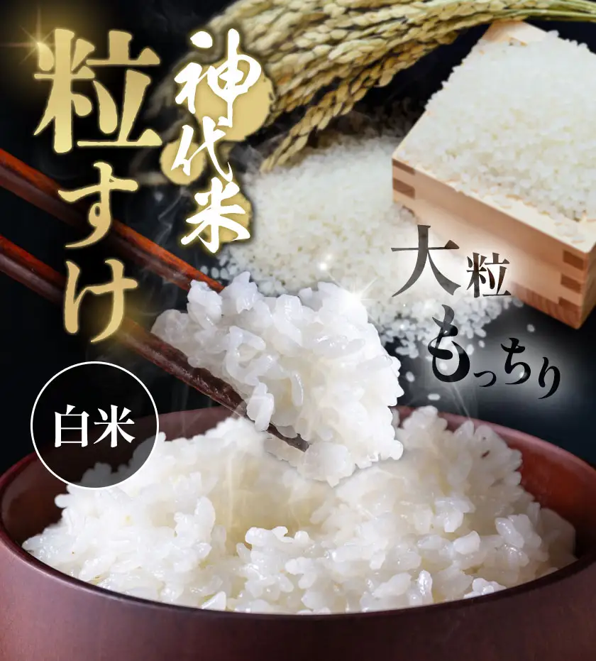 米 白米 神代米 粒すけ 令和7年産 5kg ぜん兵衛。