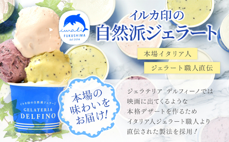 いわき産のフルーツを使った自家製ジェラート12個入セット お菓子 スイーツ