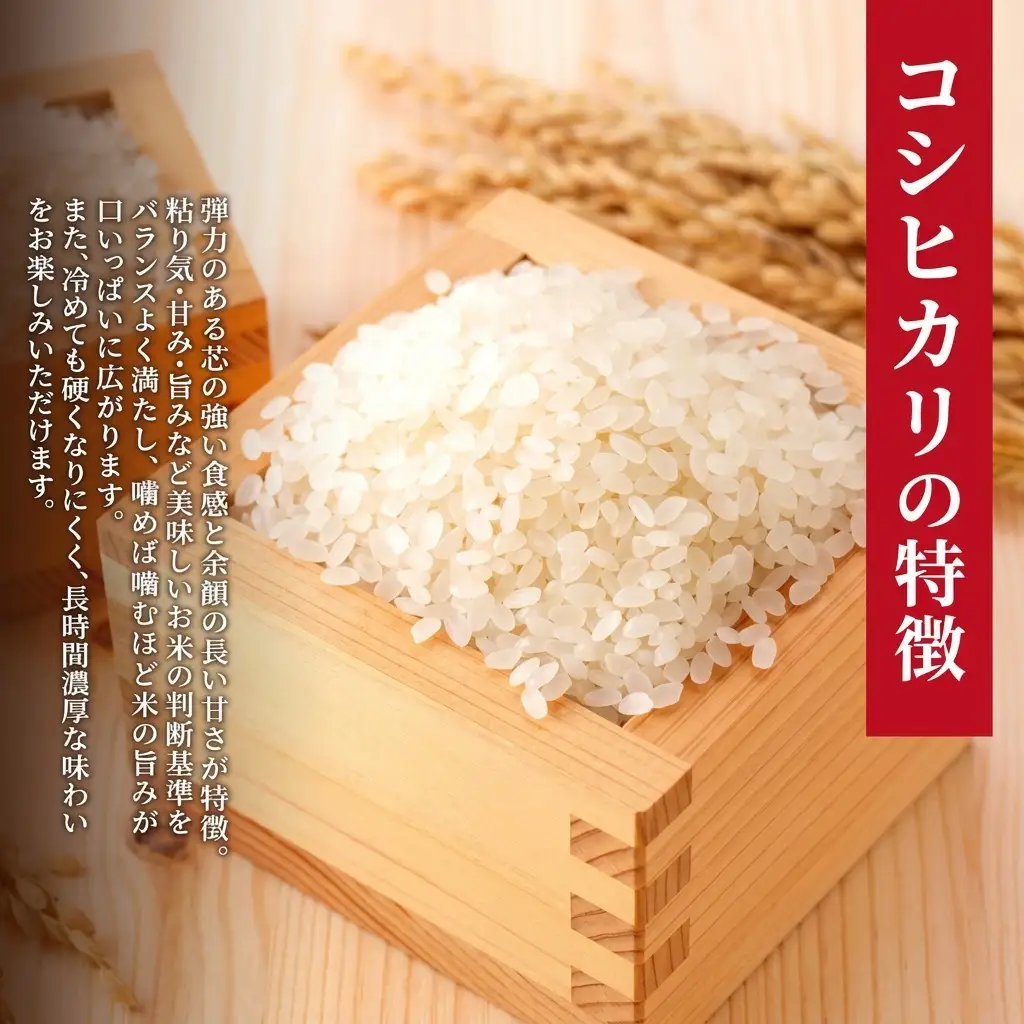 特別栽培米 こしひかり 10kg 特A 上越産 こしひかり