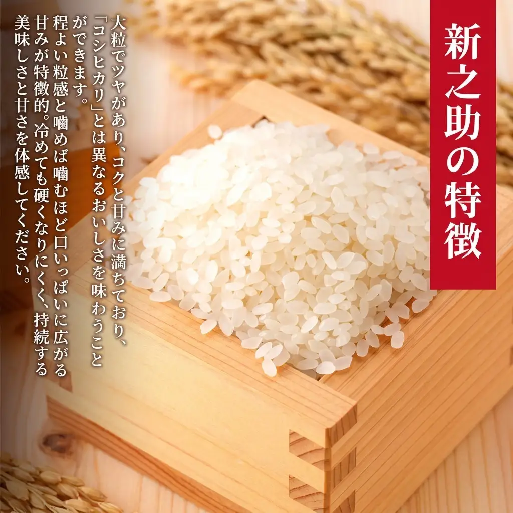 特別栽培米 新之助 5kg 上越産 おにぎり 新之助