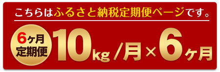 令和5年産 森のくまさん 【6ヶ月定期便】 白米 《お申込み月の翌月から出荷開始》 10kg (5kg×2袋)  計6回お届け 熊本県産 単一原料米 森くま 熊本県 御船町 st-p