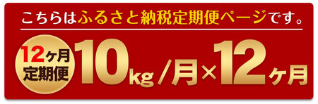 令和5年産 森のくまさん 【12ヶ月定期便】 白米 《お申込み月の翌月から出荷開始》 10kg (5kg×2袋) 計12回お届け 熊本県産 単一原料米 森くま 熊本県 御船町 st-p