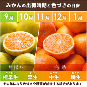 有田みかん 家庭用 完熟 1kg+250g（傷み補償分）サイズ混合 ｜ みかん