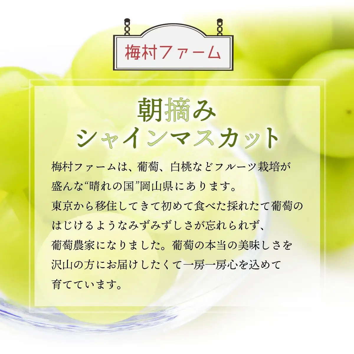 ＜2025年発送分 先行予約＞シャインマスカット（3房～5房 約2kg）【030-a011】
