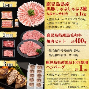 【定期便・全12回】ナンチクのお肉を楽しむ定期便！ナンチク厳選コース！ 総量8.5kg超! t0165-002