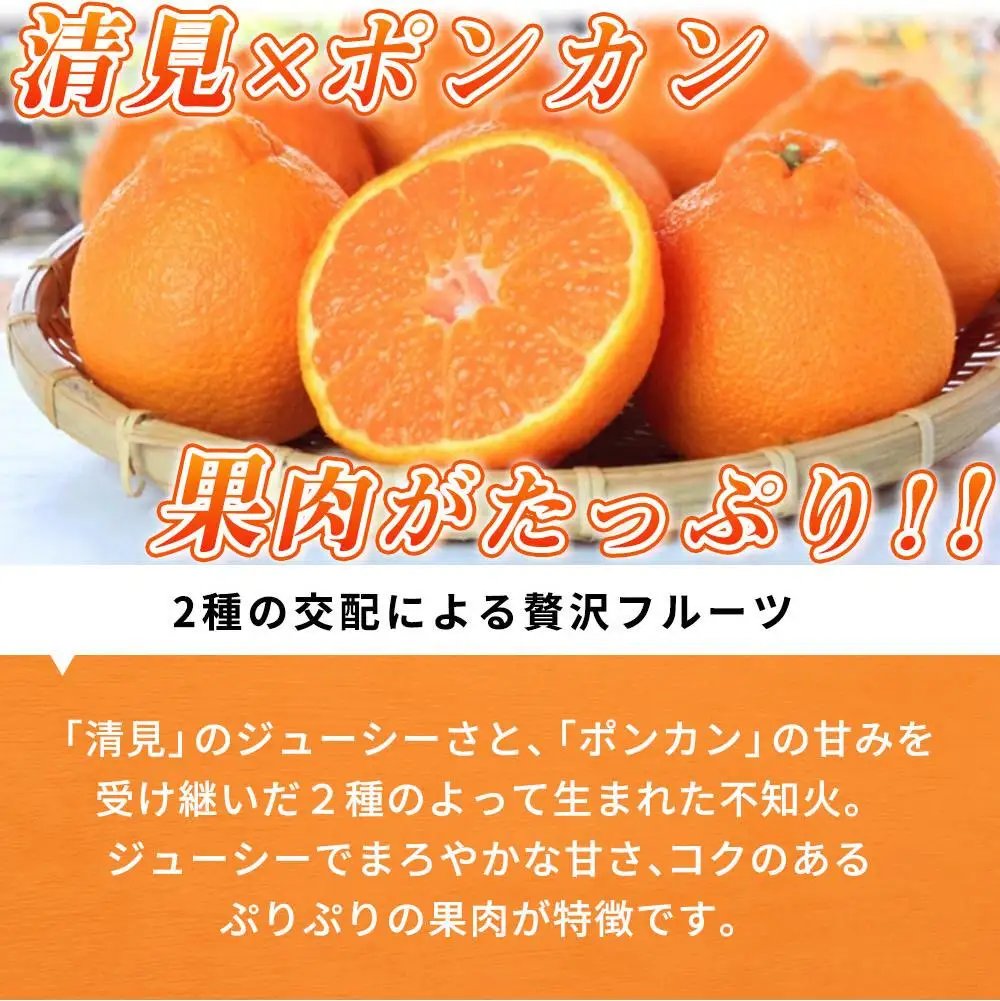 ［ご家庭用訳あり］紀州有田産不知火(しらぬひ) 約3kg［2027年2月中旬以降発送］［先行予約］［UT135］